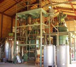 �V�R�X�Ђΐ������v�����g