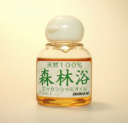 �u�X�ї��v�G�b�Z���V�����I�C��20����